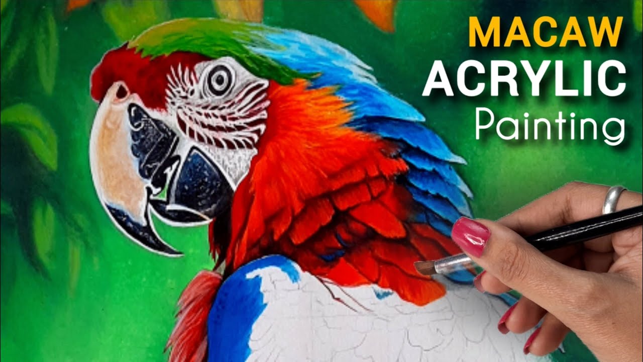 Acrylic painting of Macaw Parrot | Macaw Painting | STEP BY STEP Tutorial