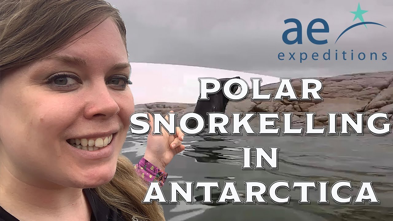 Polar Snorkelling in Antarctica