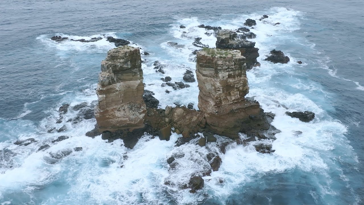 Rolex Perpetual Planet Initiative – Mission Blue: Galápagos Expedition – Ep. 1