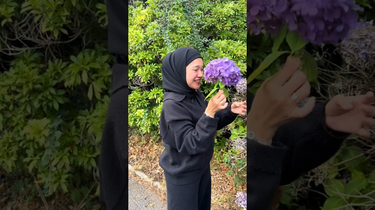 Seronok Ernie Zakri dapat Tengok Bunga Hydrangea di Rumah Edry Abdul Halim...