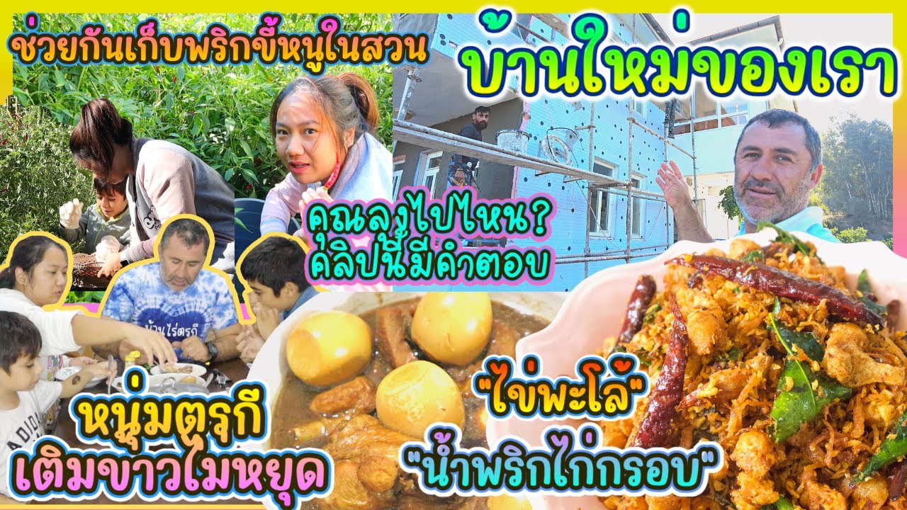 EP326 ช่วยกันเก็บพริกที่สวนเยอะมาก 