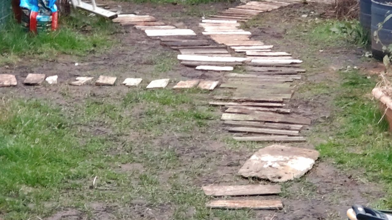 Garden project. 