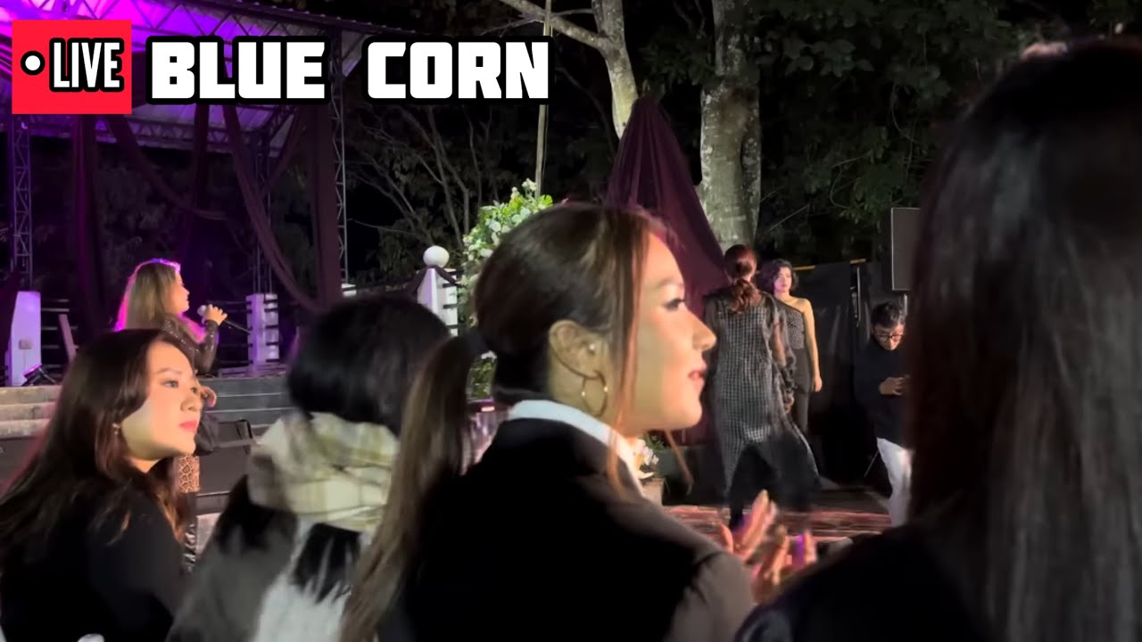 Blue Corn COMEBACK!!