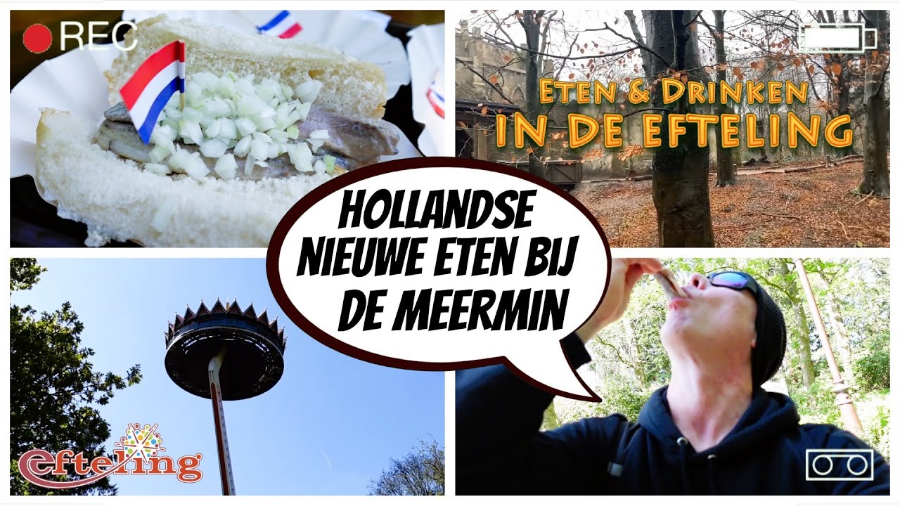 HOLLANDSE NIEUWE eten bij DE MEERMIN | Eten & Drinken in De Efteling | Michell's Keuken