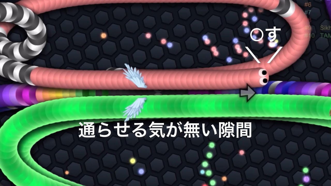 【スリザリオ】殺意溢れる隙間