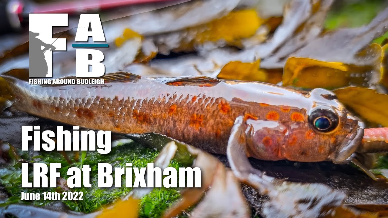 LRF Fishing at Brixham - June 14th 2022