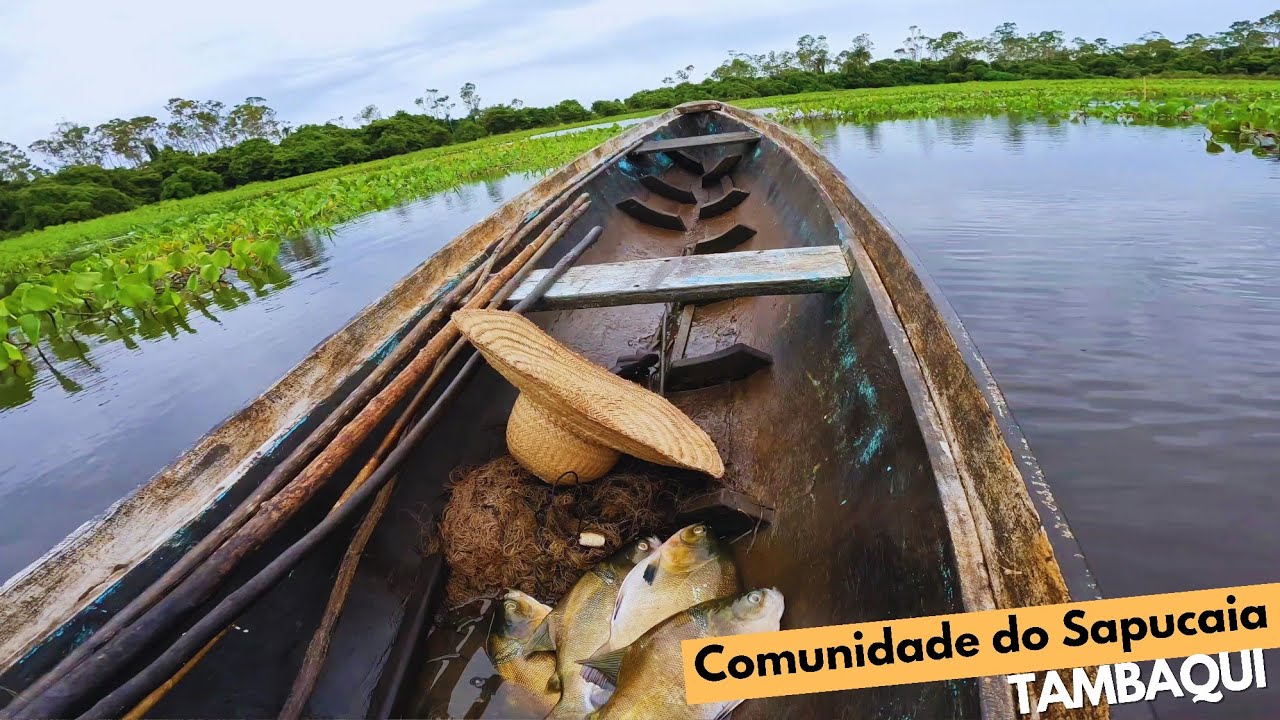 UM DIA MUITO PRODUTIVO! Pescamos TAMBAQUI / Fizemos QUEIJO / Prendemos GADO / Tomamos banho de CUIA