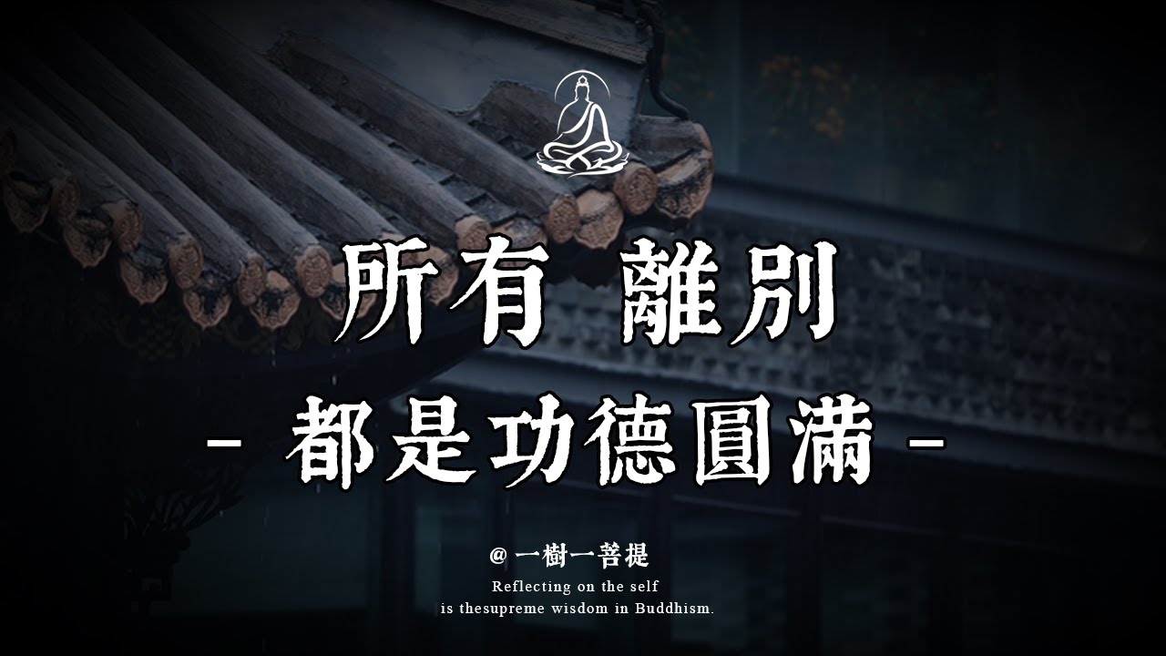 為什麼有些人註定只能陪你一段？揭秘佛學「緣分真相」：所有的離別，其實都是功德圓滿！看完瞬間放下執念|一樹一菩提 #覺醒 #禪悟人生 #人生感悟 #情感 #佛法 #菩提解脫道 #心靈成長 #禅意生活
