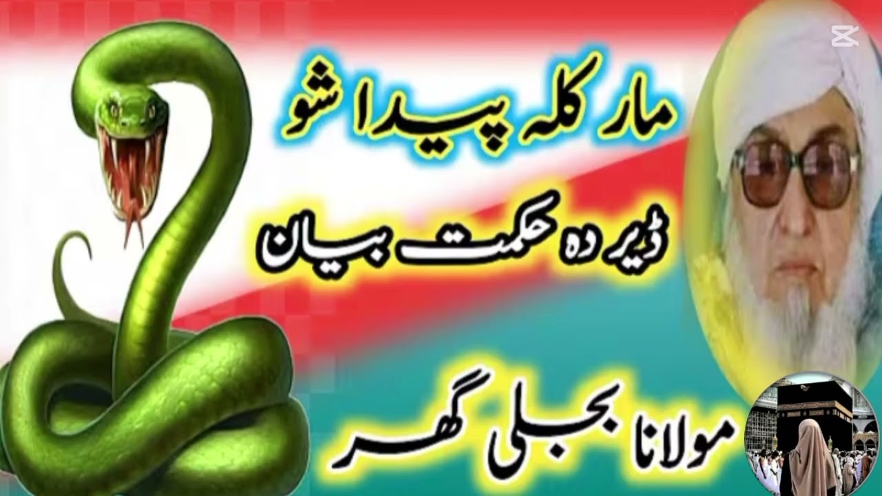 مولانا بجلی گھر صاحب کا بیان 🥰🥰🥰 اللہ تعالیٰ نے سانپ کو کیوں پیدا کیا 🤔🤔🤔 وہ تو لوگوں کو نقصان دیتا 