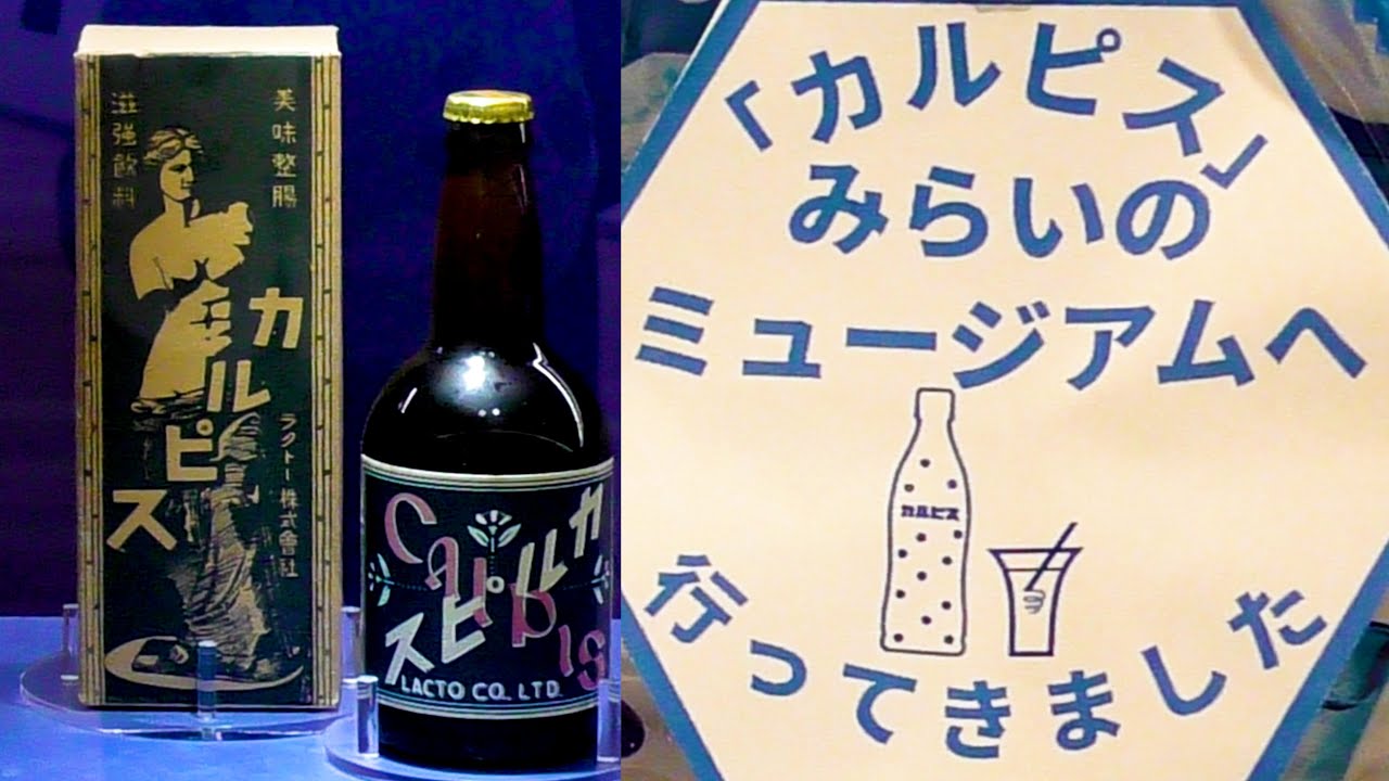 【工場見学】「カルピス」みらいのミュージアム♫かんれきパパのあそび場ありさ30