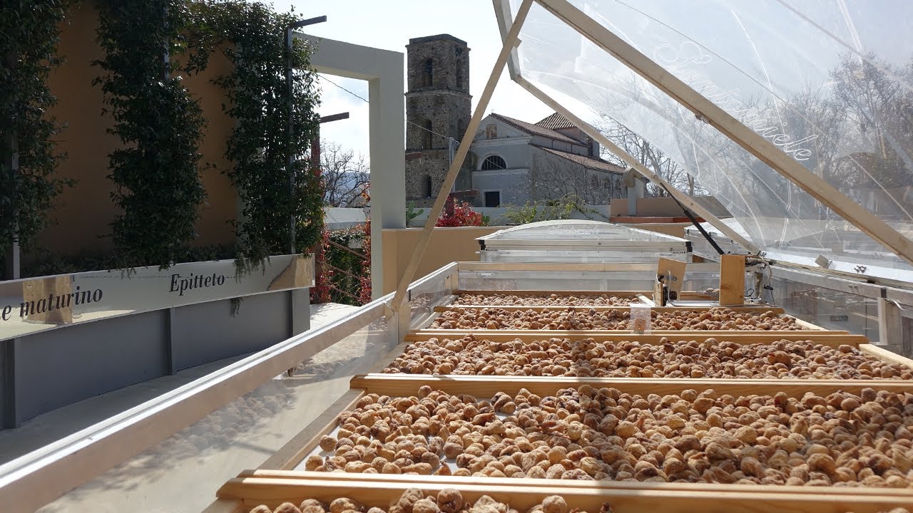 PSR Campania. Trasformazione dei prodotti agricoli, la lavorazione dei fichi nell'azienda Santomiele