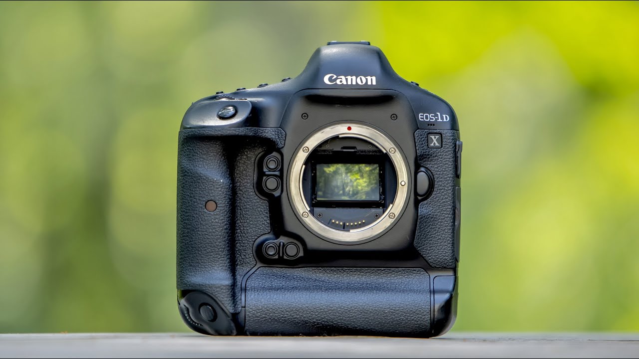 The Canon 1DX &ndash; Does this DINO still BITE??