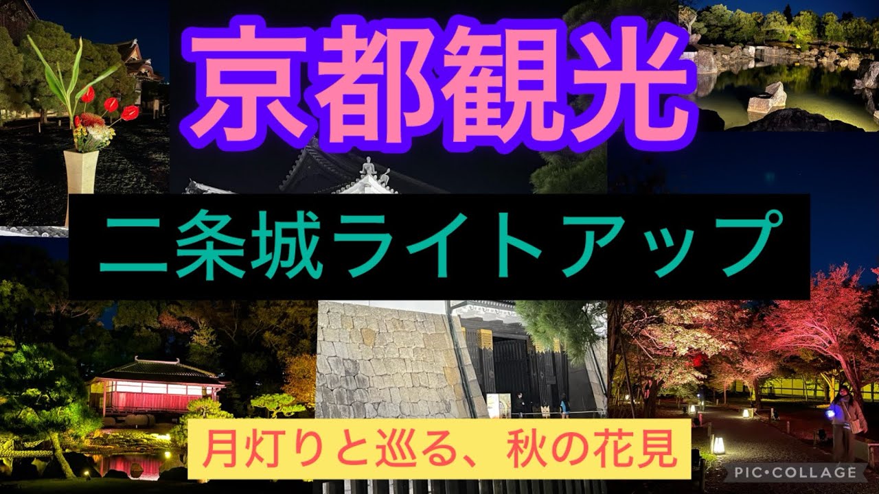 【京都観光】NAKED FLOWERS 2023 秋 世界遺産・二条城
