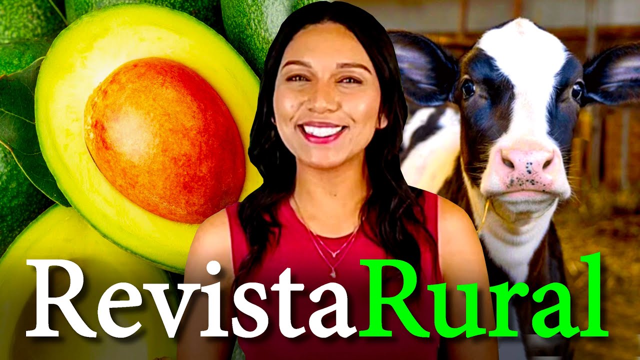 PROGRAMA REVISTA RURAL - 04/01/2026