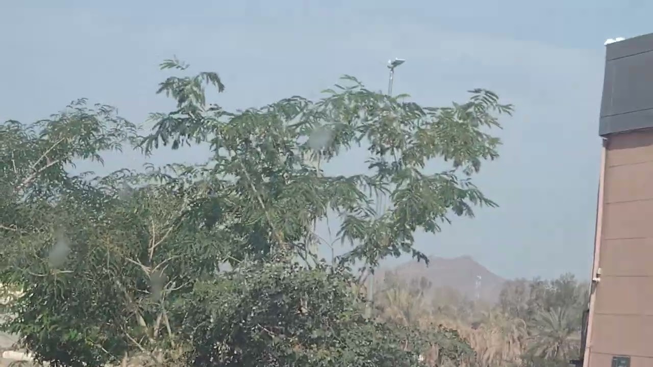 Khejur bagan