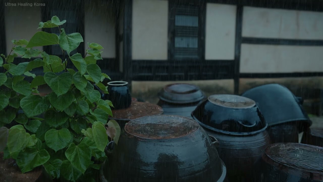 Под звуки дождя тревога утихает, и глубокий сон тихо опускается.