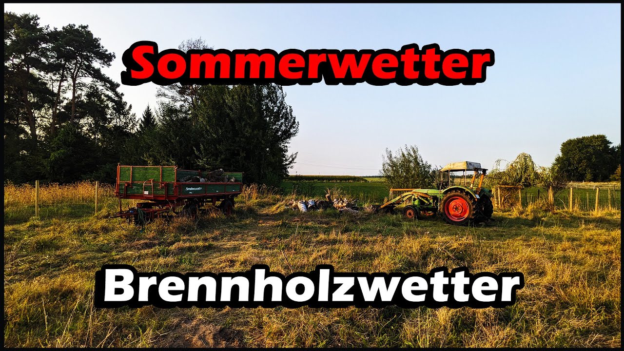 Brennholz fahren und aufräumen | Deutz D30s