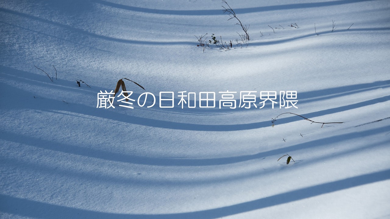 厳冬の日和田高原界隈