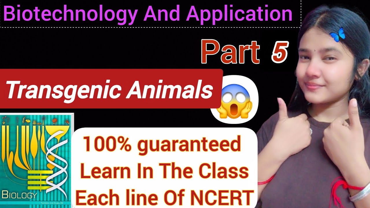 Biotechnology and Application 5 | Transgenic Animal |  #cbse #neet