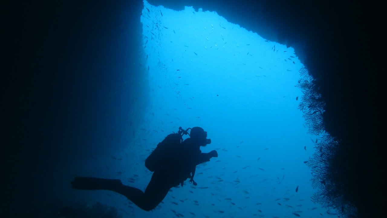 Une plongée à l' île Plane, Oran