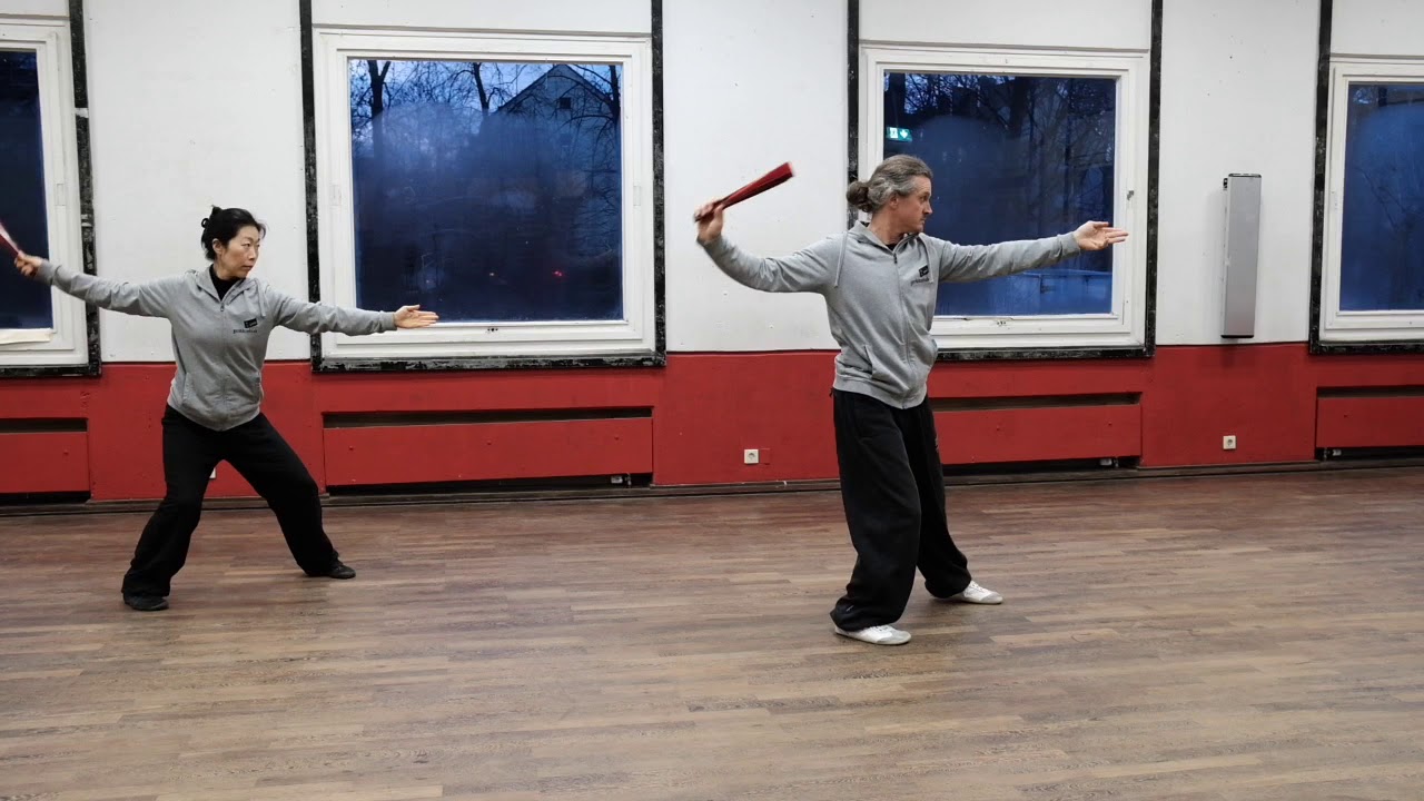 Yangsheng Taijishan 養生太極扇 Tai Chi Fächerform - Aufnahme von hinten/backview