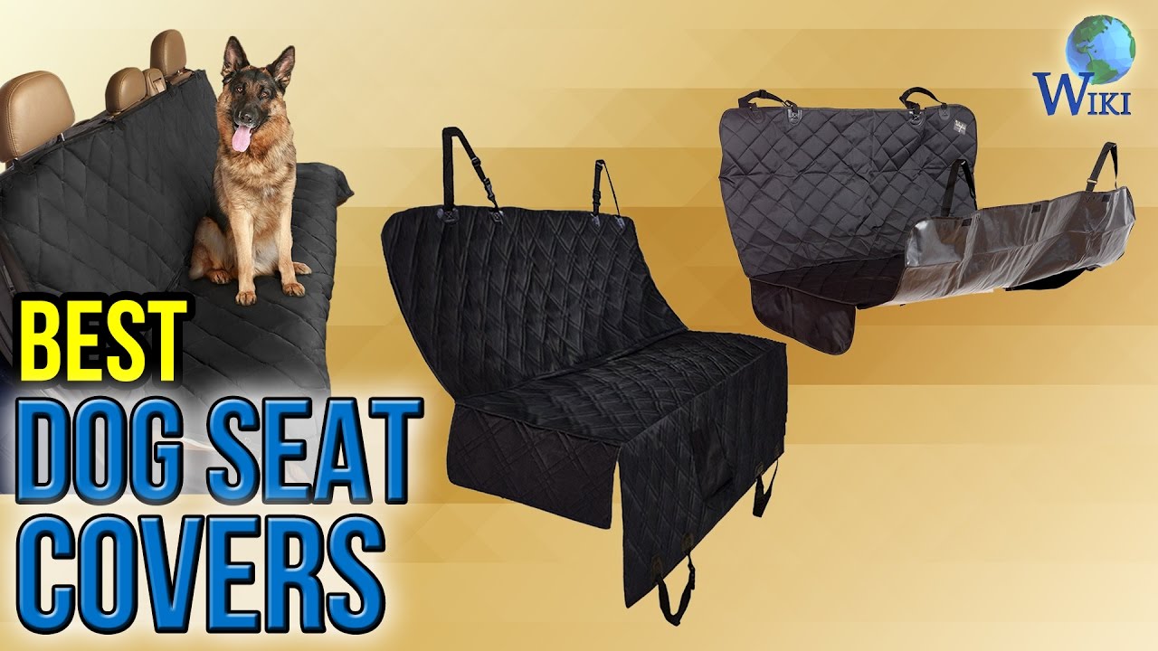 10 Best Dog Seat Covers 2017