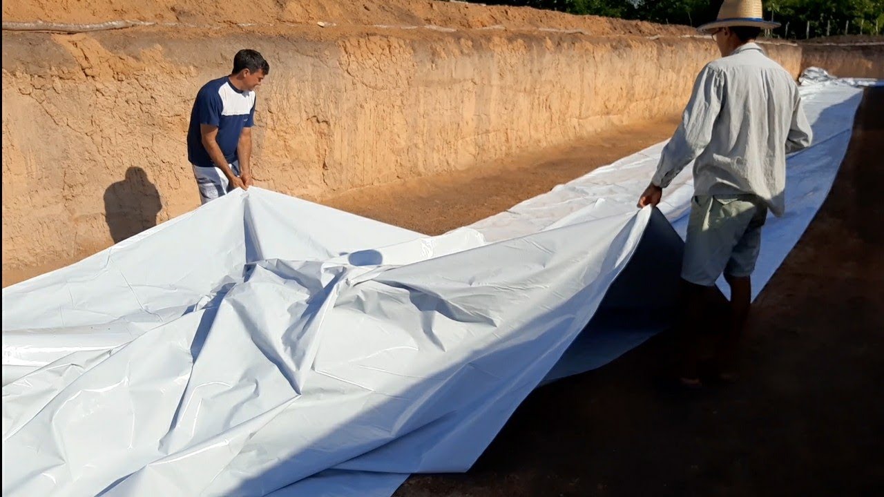 colocando lona no tanque da roça orgânica