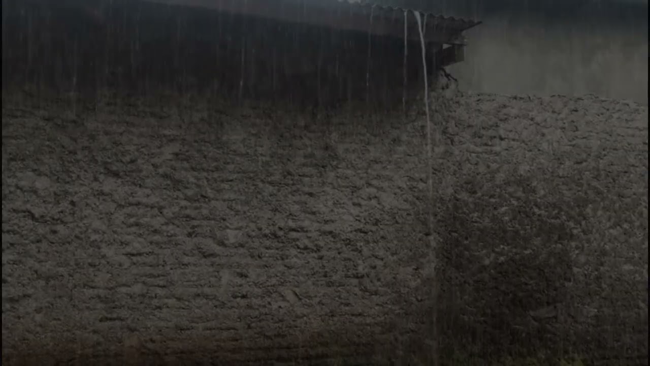 Rain on Window Sounds  Cozy Rain ASMR for Sleep 🪟🌧️