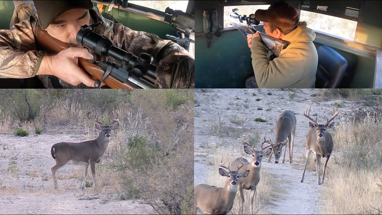 Big Bucks en Rancho el Casta&ntilde;o en Juarez Coahuila para Grandes Trofeos