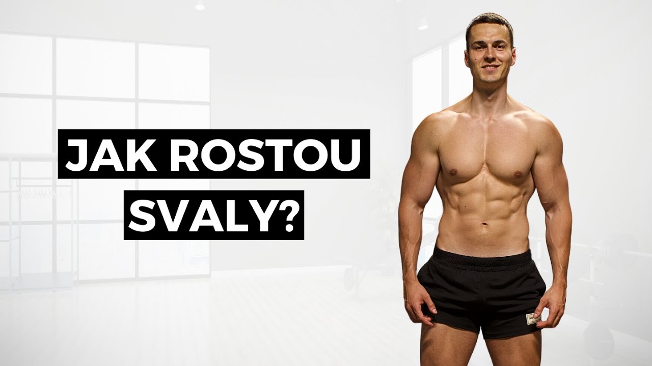 TOHLE BYS MĚL VĚDĚT O BUDOVÁNÍ SVALŮ!