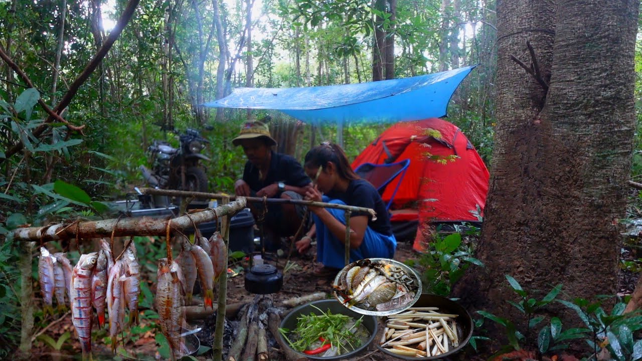 Camping adventure in the forest, fishing for food