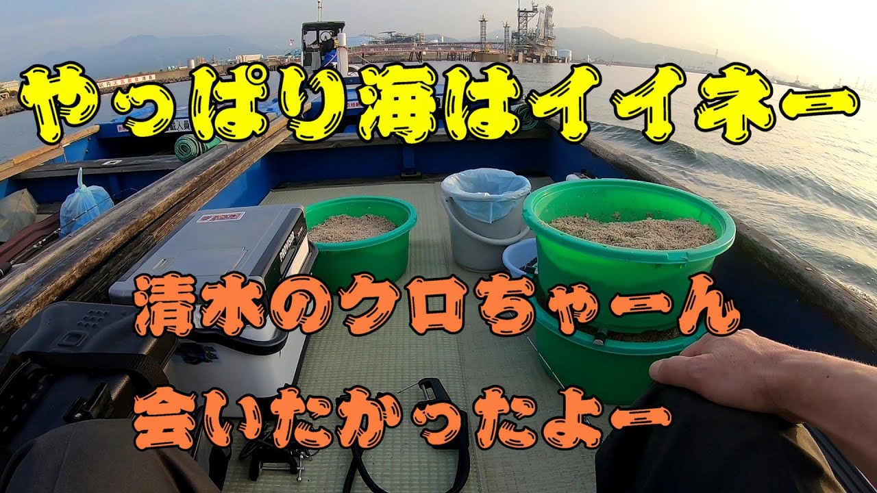 清水港で黒鯛と遊ぼう Vol.21　久しぶりの黒鯛はやっぱり最高！
