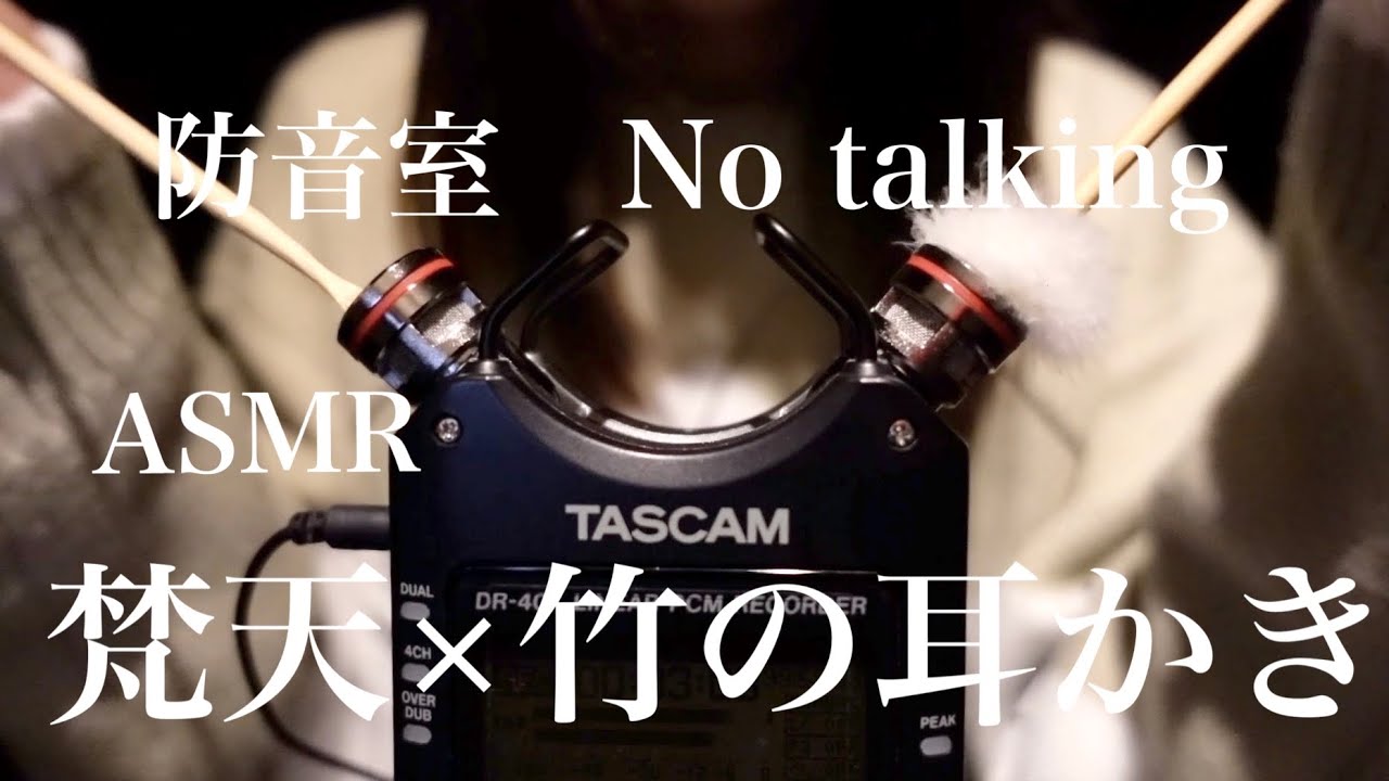 【ASMR】防音室👂🏻梵天と竹の耳かきの2種類の音で寝落ちしちゃって。喋り抜き【睡眠用】
