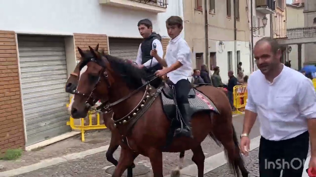 Sfilata religiosa a cavallo Pattada