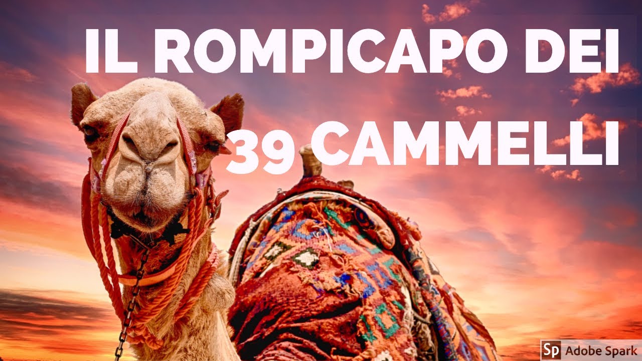 Il rompicapo dei 39 cammelli