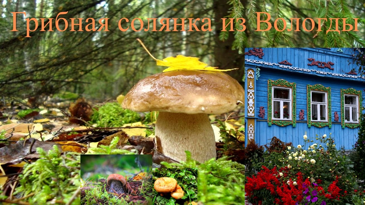 Мошенник! Хватит разводяг - тобой займется здесь моряк.