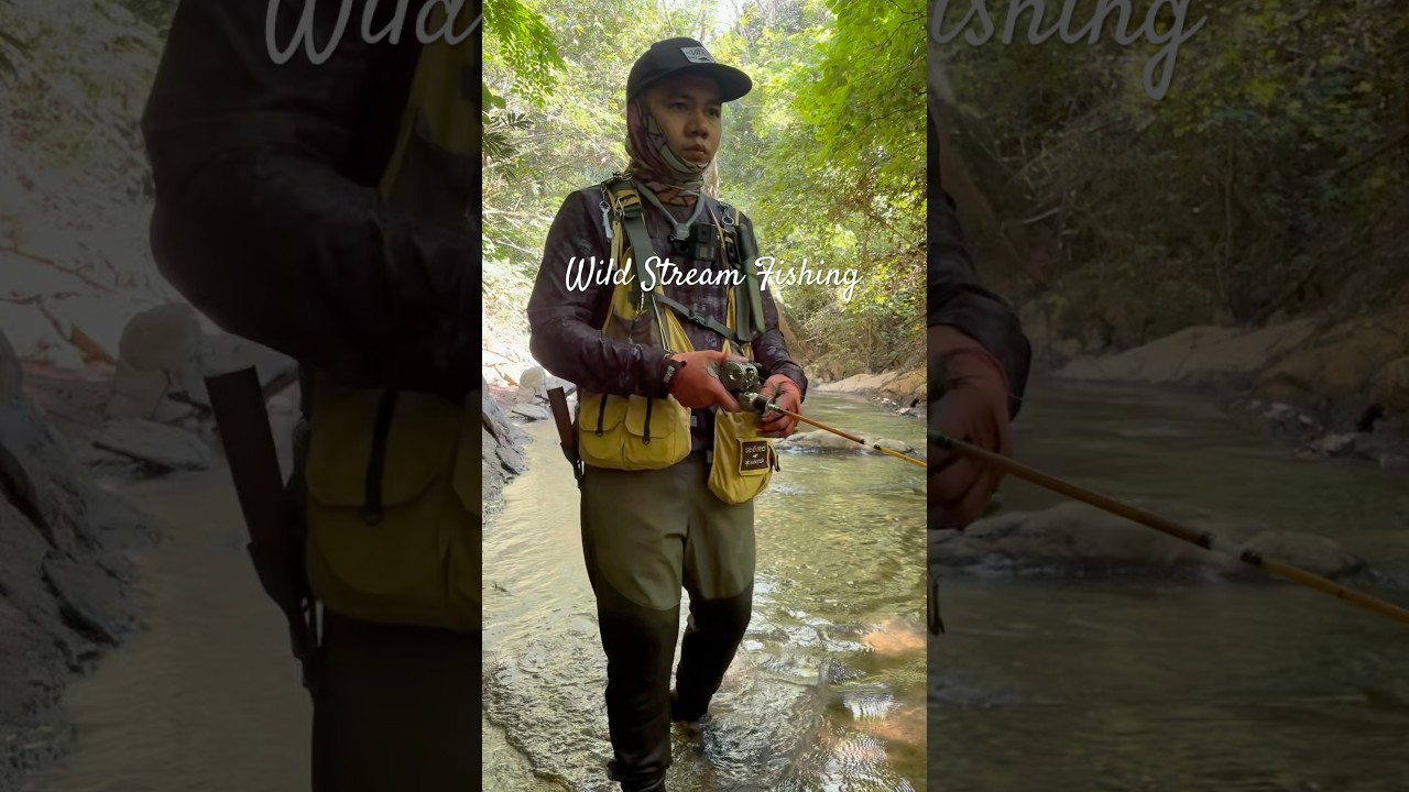 Stream Fishing Malaysia Style #streamfishing #shimanocalcuttaconquest #BFS