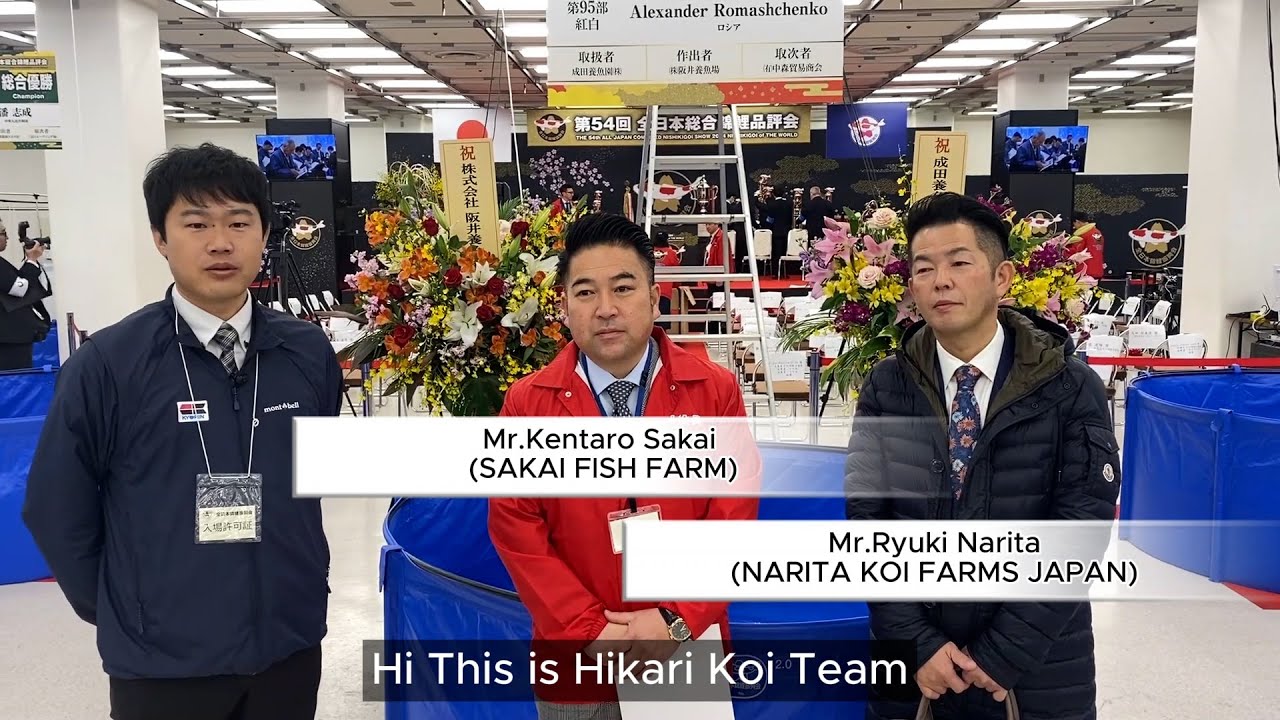 第54回 全日本錦鯉品評会 インタビュー｜阪井健太郎社長 成田隆輝社長【kyorin hikari】
