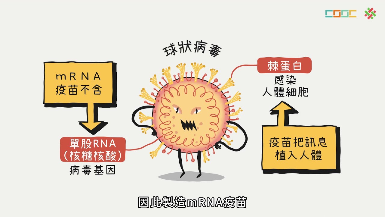 108新課綱｜高一化學｜【觀念】核酸