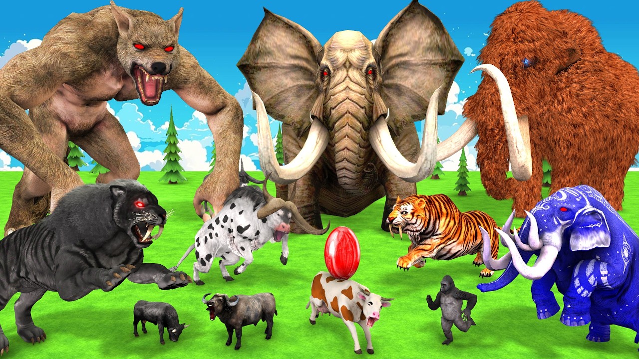 10 Giant Elephant Cow vs 5 Giant Tiger Wolf bull vs Giant T-Rex Gorilla Cow Saved by Woolly Mammoth