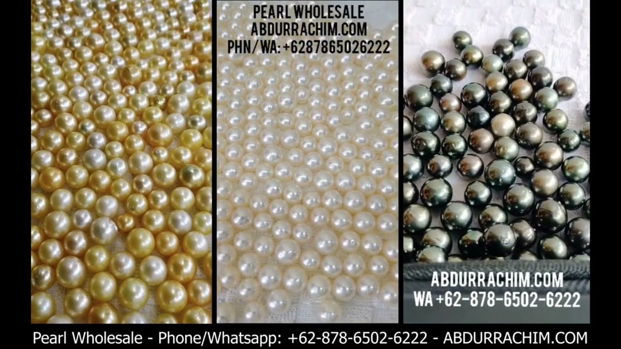 D&eacute;l-tengeri gy&ouml;ngyszem Indon&eacute;zia phn/WA: +62-878-6502-6222 pearl wholesale