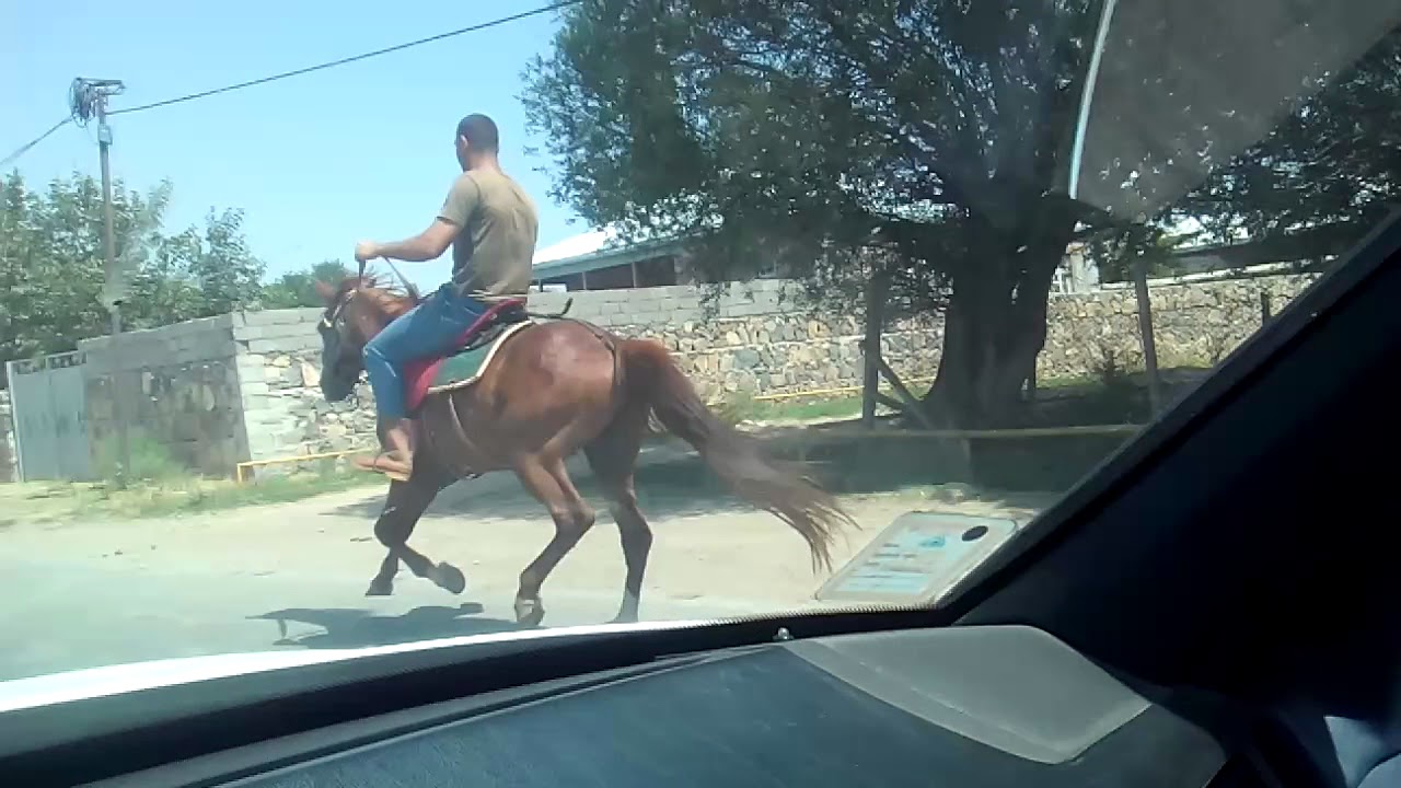Naxçıvan şərur rayonu dəmirci kəndi