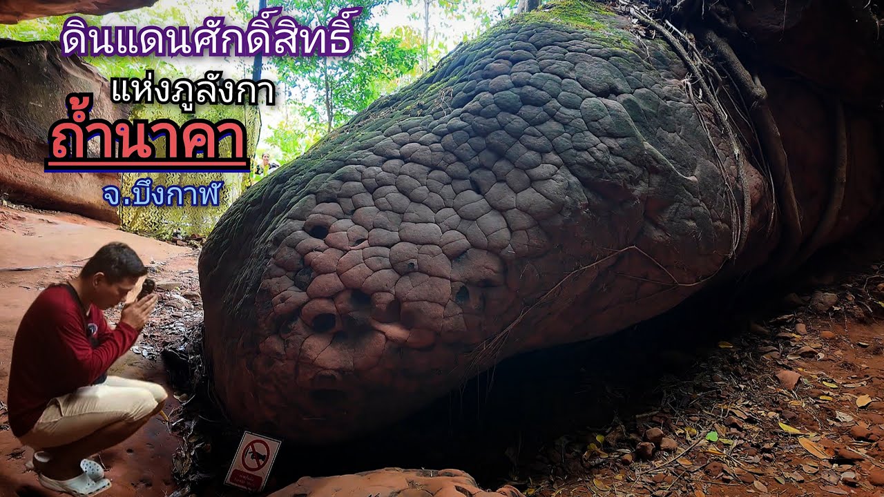 ถ้ำนาคา บึงกาฬ ดินแดนศักดิ์สิทธิ์แห่งภูลังกา รีวิวเส้นทางขึ้นถ้ำนาคา เที่ยวถ้ำนาคา เที่ยวบึงกาฬ