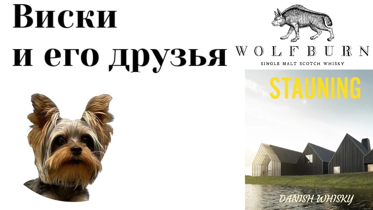 Выводы о винокурнях Wolfburn и Stauning