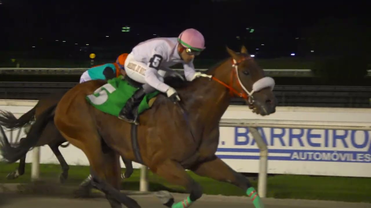 260228 c10 - BEST IN TOWN (ARG) - HIPODROMO DE MAROÑAS