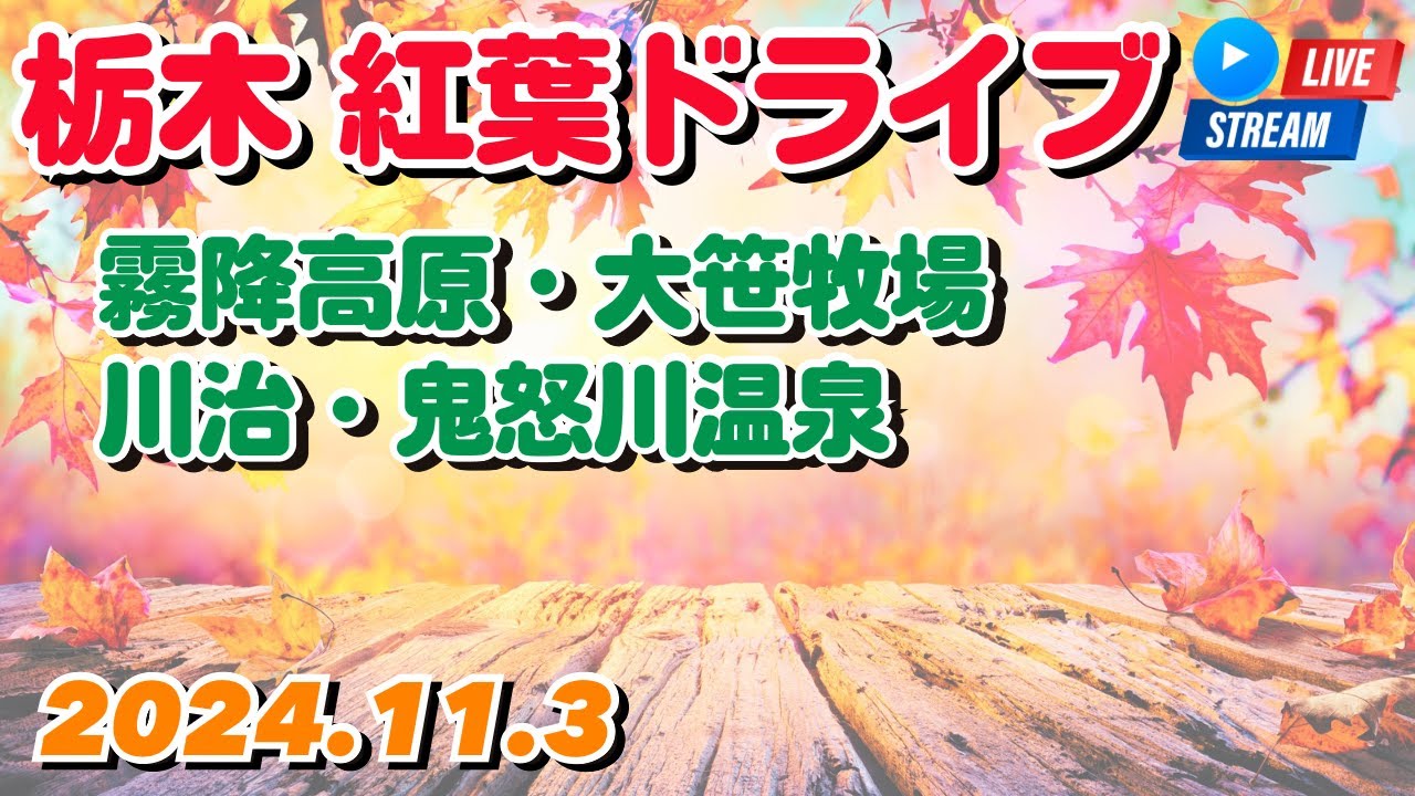 栃木 紅葉ドライブ② 日光霧降高原→大笹牧場→川治温泉→鬼怒川温泉 2024.11.3【ぴかーど47at】