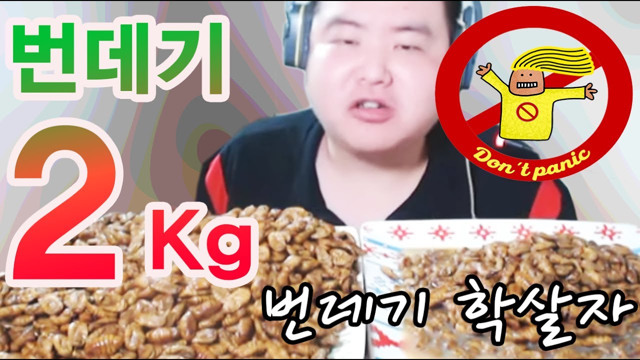 만능방송 번데기 2KG 도전먹방 Eating Silkworm 먹방