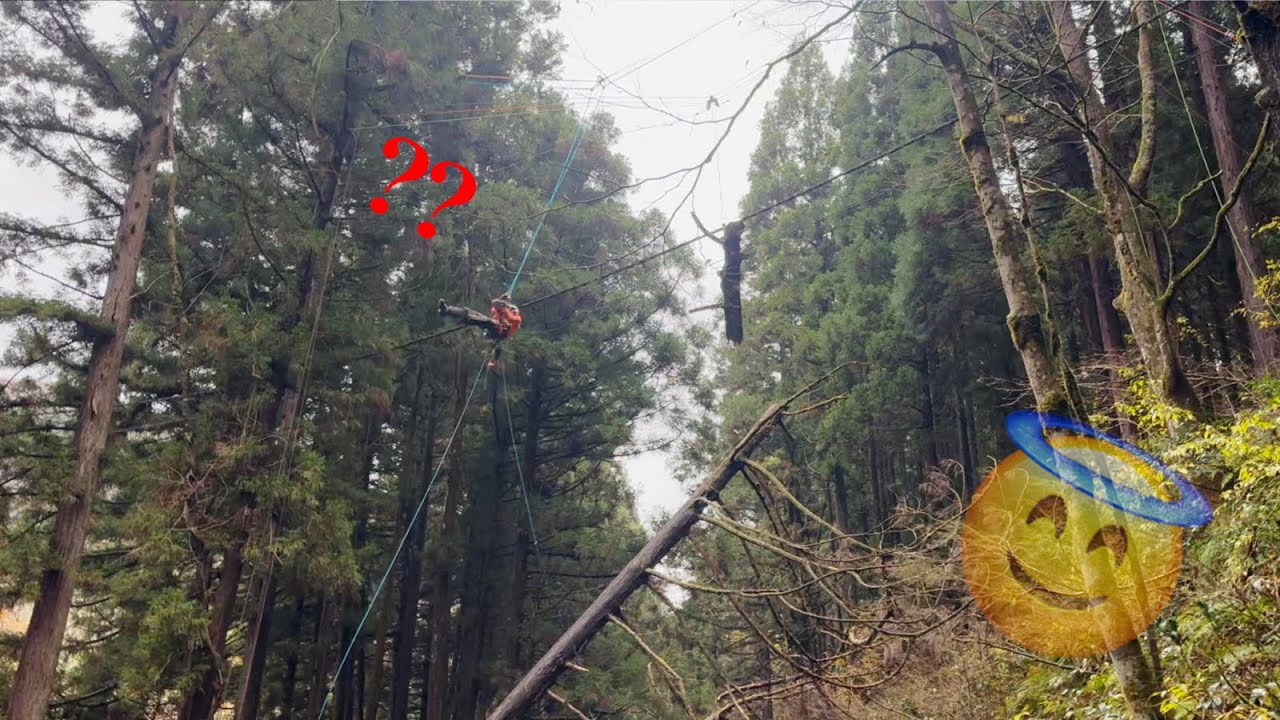 【バンジーカット】これ知ってる？特殊ロープ架線！河川の架線倒木処理