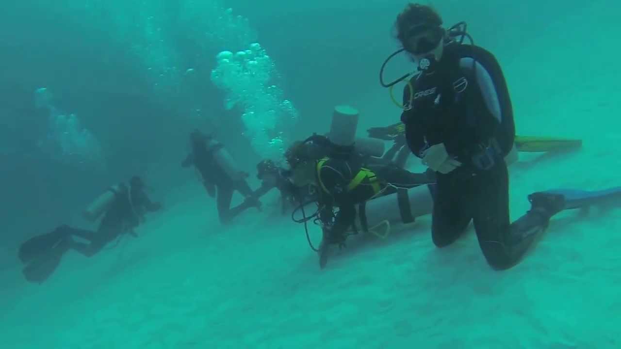 Buceando con tiburones toro Lucia & Jes&uacute;s (Pepe Dive, Mexico)