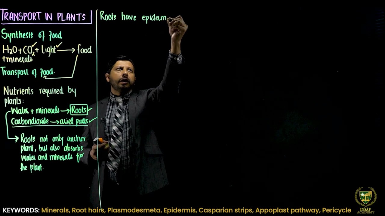 Transport in plants || 11TH BIOLOGY || CHP 14 || LECTURE 2 ||